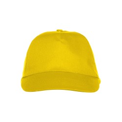 Texas Cap