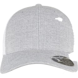 110 Mesh 2-Tone Cap