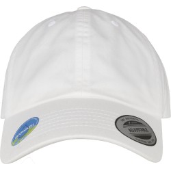 Ecowash Dad Cap