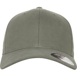 Flexfit Brushed Twill Cap