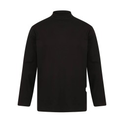 LONG SLEEVED ROLL NECK TOP